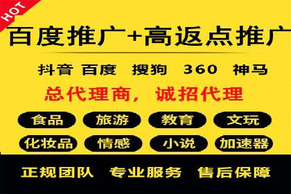 竞价广告的投放策略与效果评估——以一成功企业为例